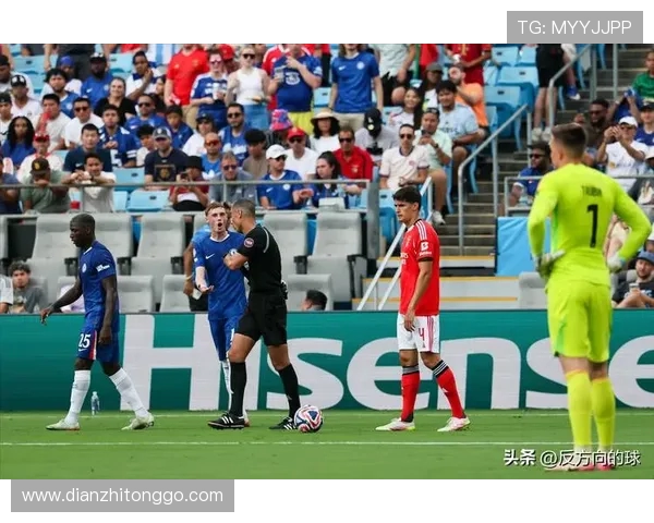 本菲卡因裁判判罚严重不满宣布暂停国家队在主场比赛